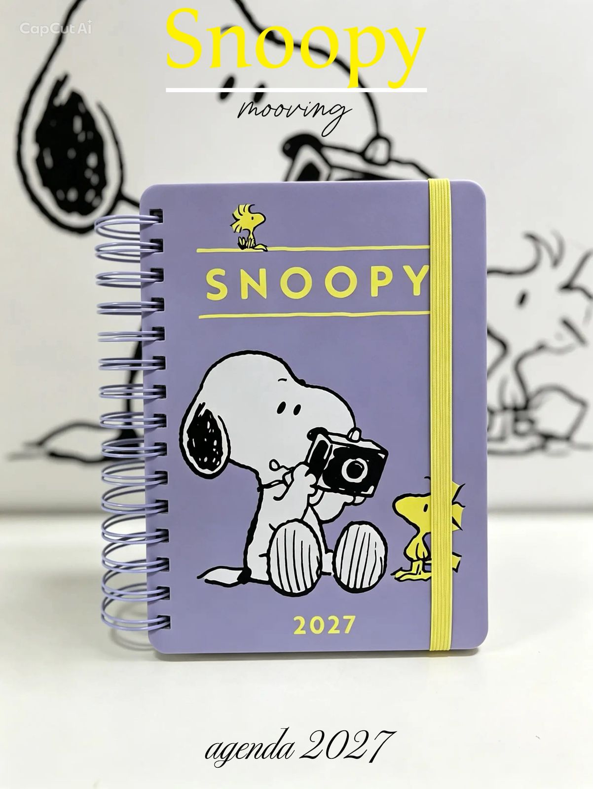 NUEVAS AGENDAS
